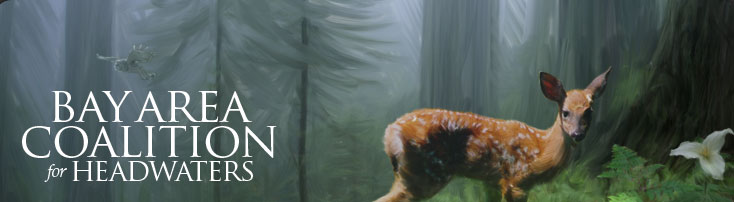 Bay Area Coalition for Headwaters Forest